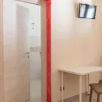 New Opuntia לצ'ה