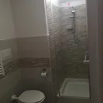 New Opuntia Лечче
