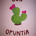 New Opuntia