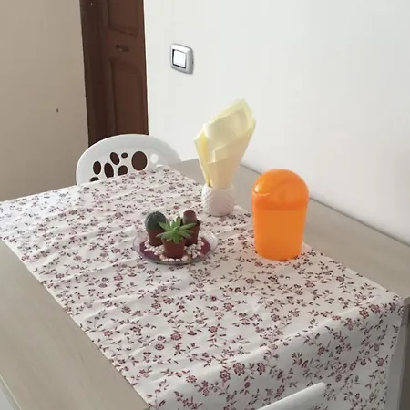 Panzió New Opuntia 3*