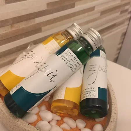 New Opuntia Panzió 3*