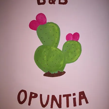 New Opuntia